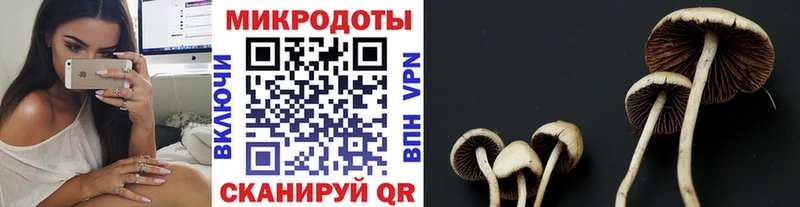 закладка  Свободный  Псилоцибиновые грибы GOLDEN TEACHER 